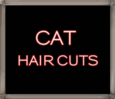 haircuts online